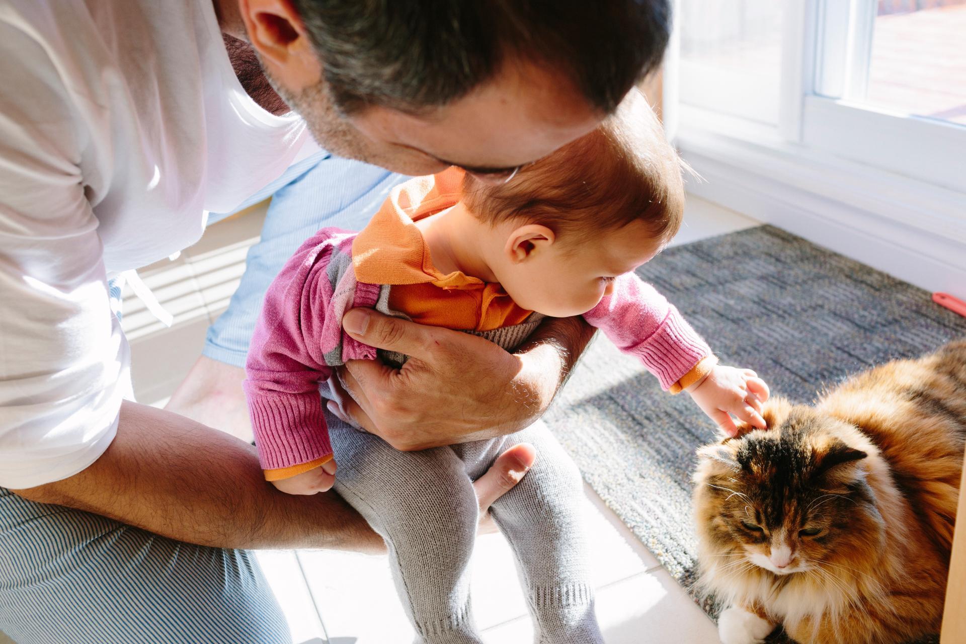 A dad holding a baby so she can pet a cat